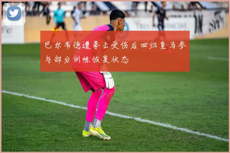 巴尔韦德遭拳击受伤后回归皇马参与部分训练恢复状态